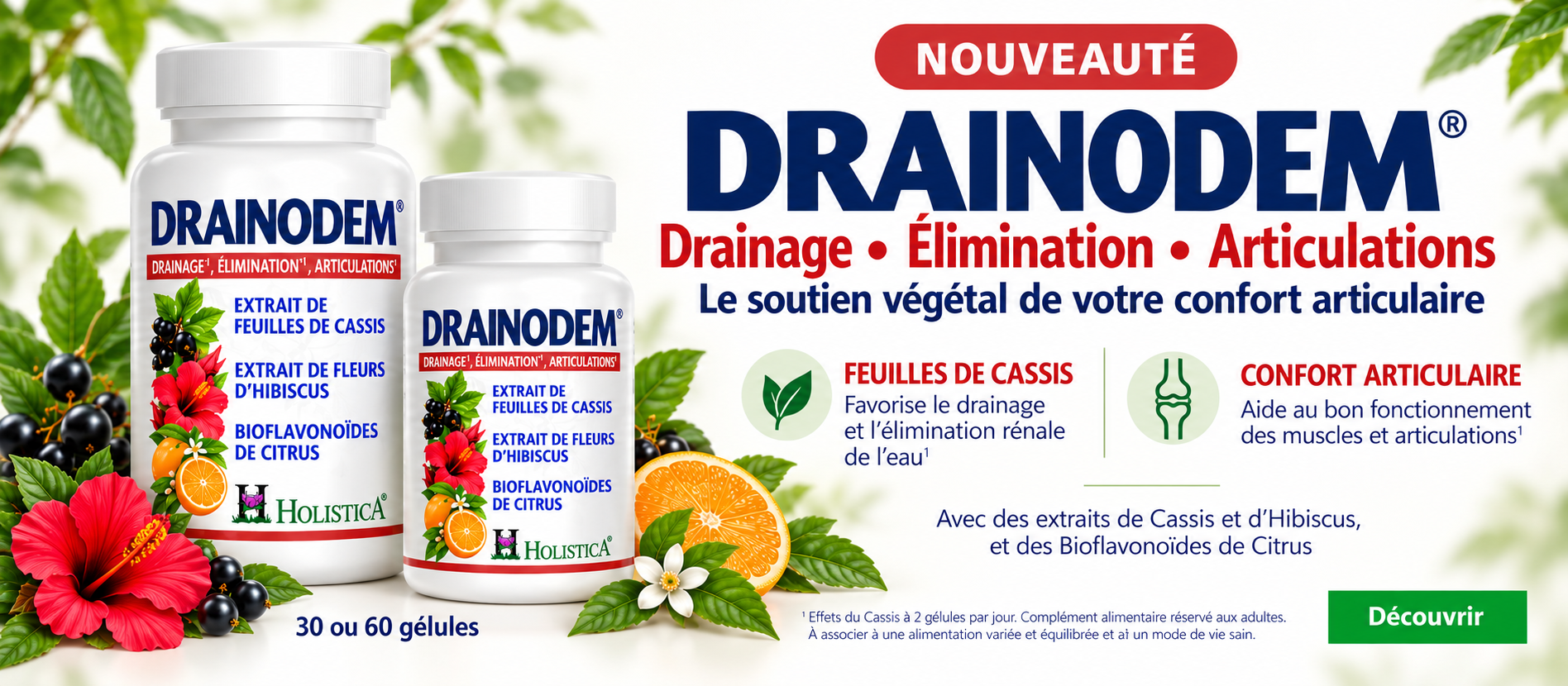 diaporama-drainodem